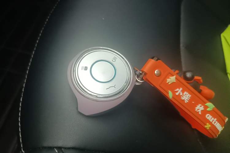 Used NETA V 2022 Chao 300 Lite Ternary Lithium Vehicle Key