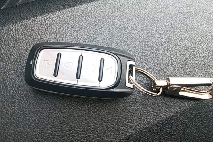 Used NETA V 2022 Standard Range Industry Custom Edition Vehicle Key