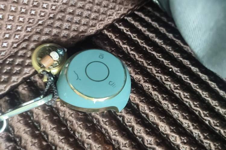 Used NETA V 2022 Standard Range Industry Custom Edition Vehicle Key