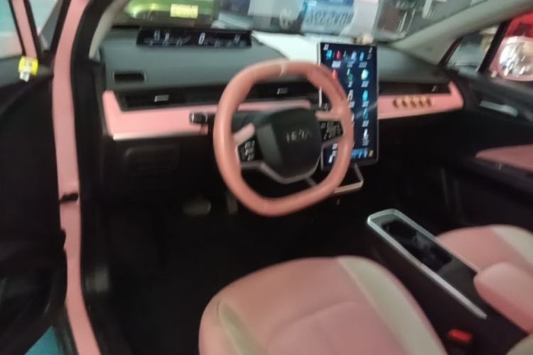 Used NETA V 2022 Chao 400 Lite Pink Custom Edition Center Console