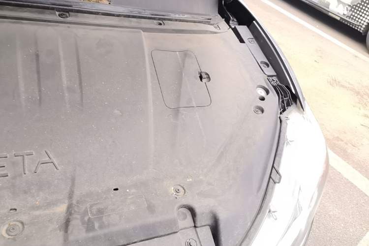 Used NETA V 2022 Chao 300 Lite Lithium Iron Phosphate Engine Bay Left