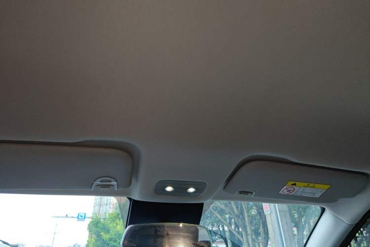 Used NETA V 2022 Pro Long-Range Smart Edition Headliner