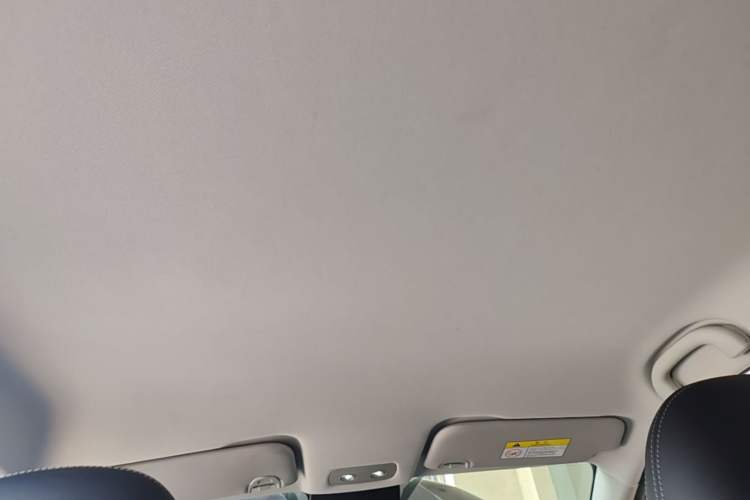 Used NETA V 2022 Long-Range Industry Custom Edition Headliner