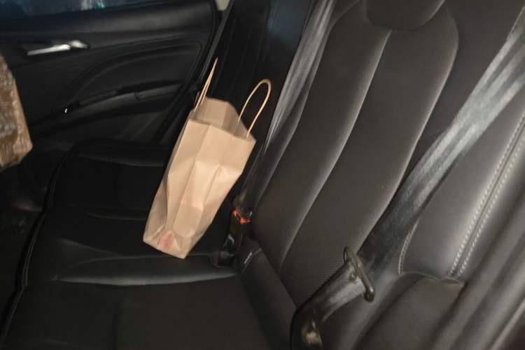 Used NETA V 2022 Chao 400 Lite Left Rear Seat