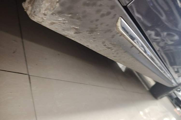 Used NETA V 2022 Chao 300 Industry Custom Edition Left Side Sill