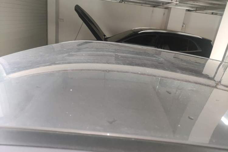 Used NETA V 2022 Pro Industry Custom Edition Roof