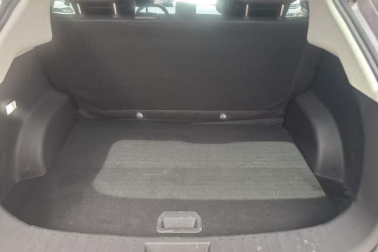 Used NETA V 2022 Pro Long-Range Smart Edition Trunk