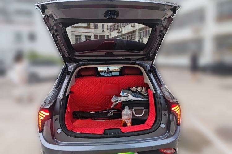 Used NETA V 2022 Long-Range Industry Custom Edition Trunk