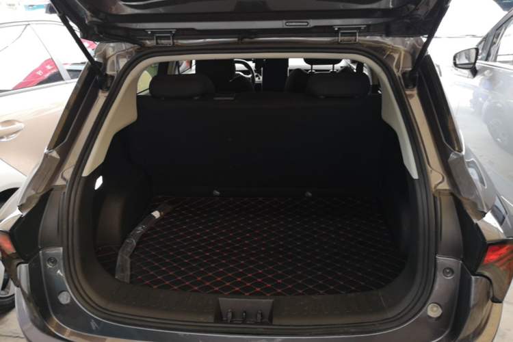 Used NETA V 2022 Standard Range Industry Custom Edition Trunk