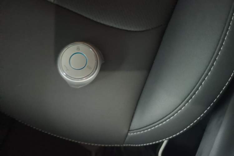 Used NETA V 2022 Pro Industry Custom Edition Vehicle Key