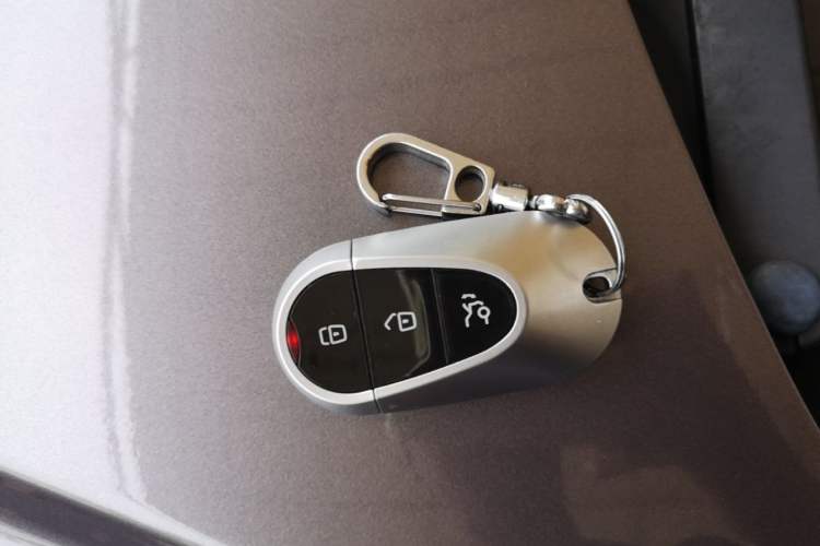 Used NETA V 2022 Standard Range Industry Custom Edition Vehicle Key