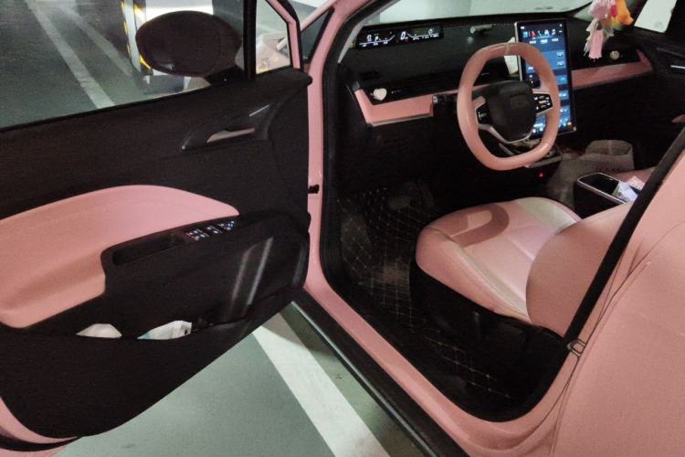 Used NETA V 2022 Chao 400 Lite Pink Custom Edition Driver Seat