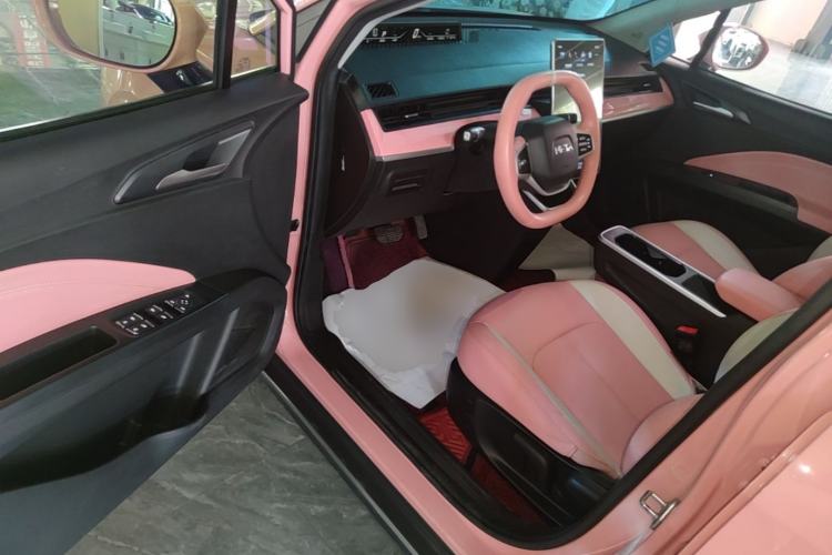 Used NETA V 2022 Chao 400 Lite Pink Custom Edition Driver Seat