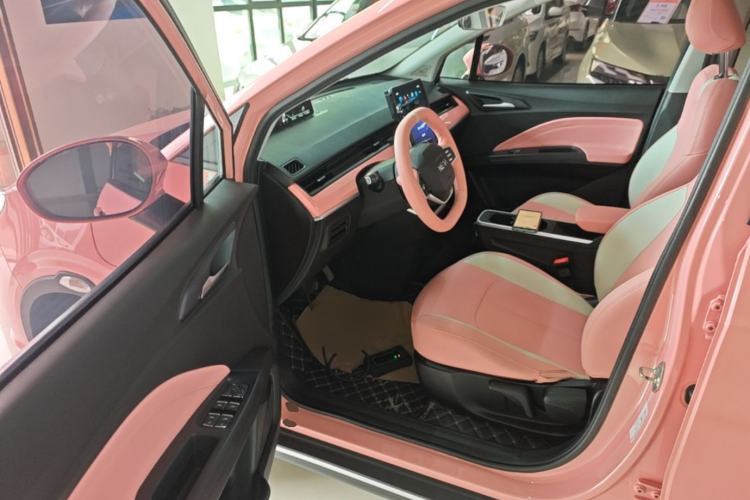 Used NETA V 2022 Chao 400 Lite Pink Custom Edition Driver Seat