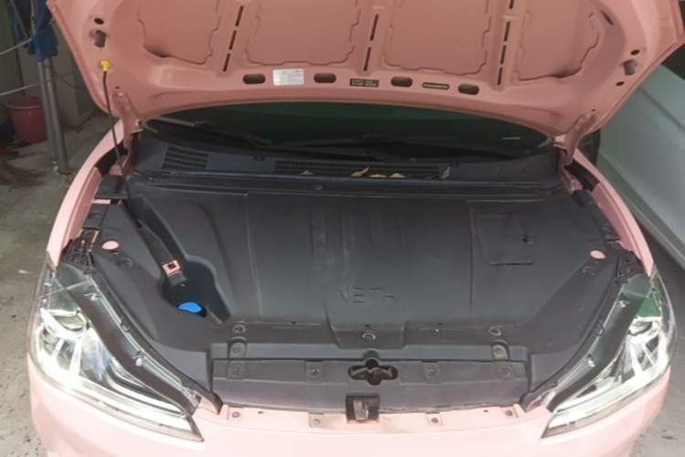 Used NETA V 2022 Chao 400 Lite Pink Custom Edition Engine Bay