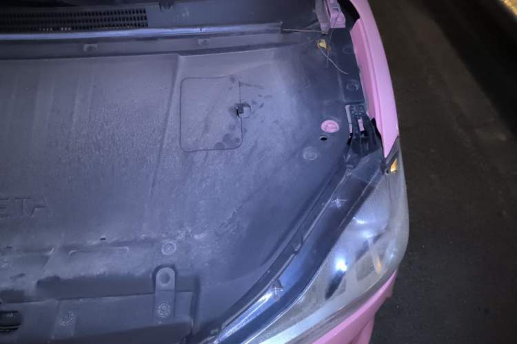 Used NETA V 2022 Chao 400 Lite Pink Custom Edition Engine Bay Left