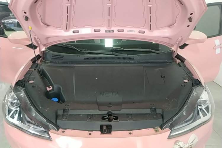Used NETA V 2022 Chao 400 Lite Pink Custom Edition Engine Bay
