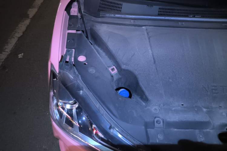 Used NETA V 2022 Chao 400 Lite Pink Custom Edition Engine Bay Right