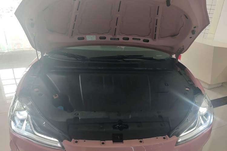 Used NETA V 2022 Chao 400 Lite Pink Custom Edition Engine Bay