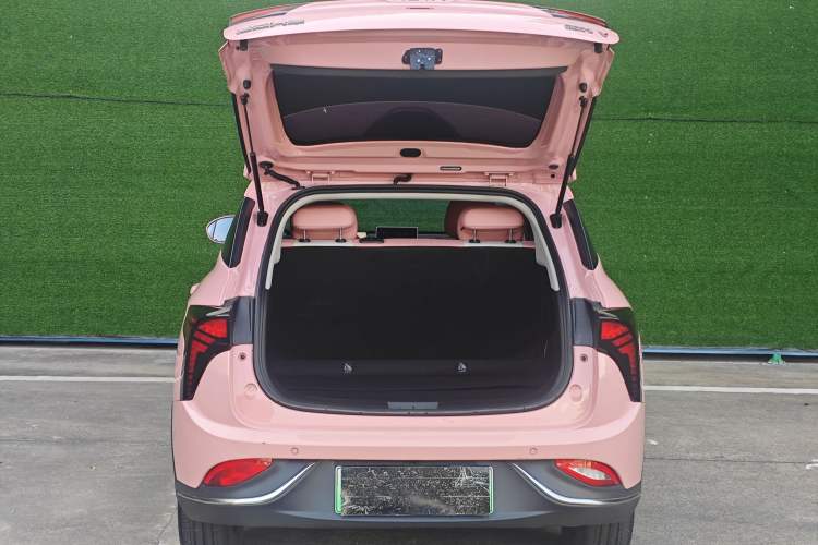 Used NETA V 2022 Chao 400 Lite Pink Custom Edition Exterior 8