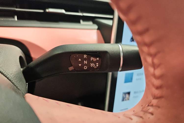 Used NETA V 2022 Chao 400 Lite Pink Custom Edition Gear Lever