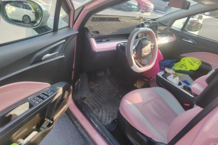 Used NETA V 2022 Chao 400 Lite Pink Custom Edition Driver Seat
