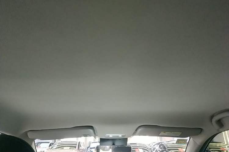 Used NETA V 2022 Chao 300 Lite Lithium Iron Phosphate Headliner
