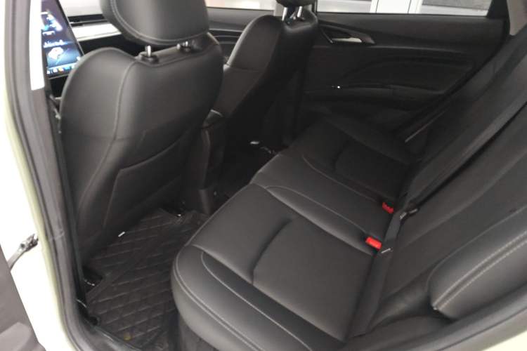Used NETA V 2022 Chao 400 Lite Interior 4