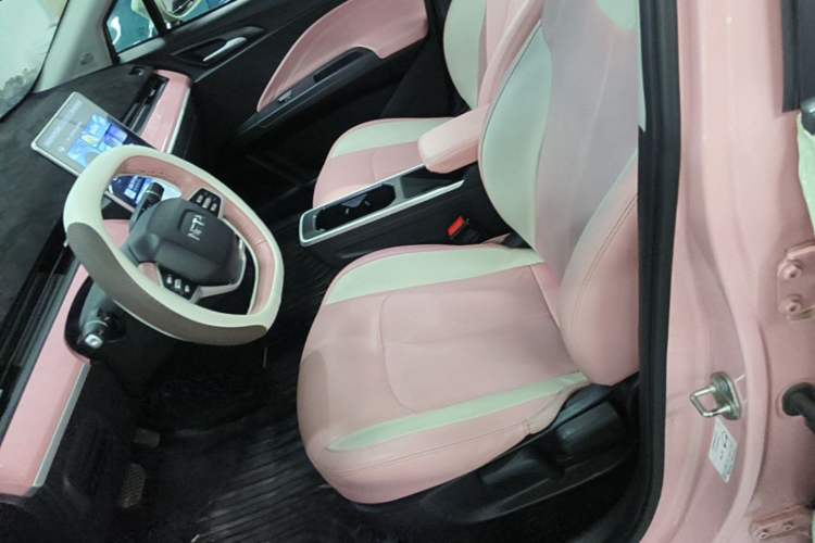 Used NETA V 2022 Chao 400 Lite Pink Custom Edition Left Front Seat