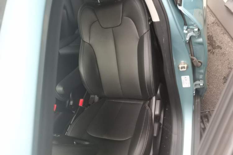 Used NETA V 2022 Long-Range Industry Custom Edition Left Front Seat