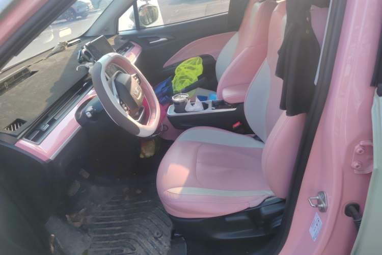 Used NETA V 2022 Chao 400 Lite Pink Custom Edition Left Front Seat