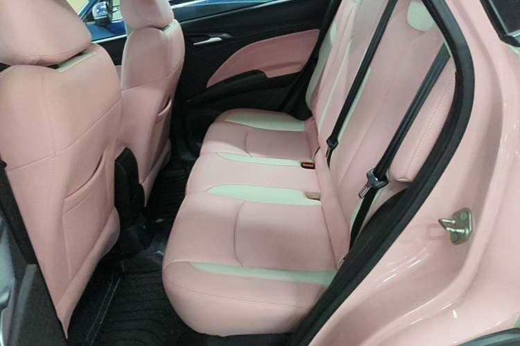 Used NETA V 2022 Chao 400 Lite Pink Custom Edition Left Rear Seat