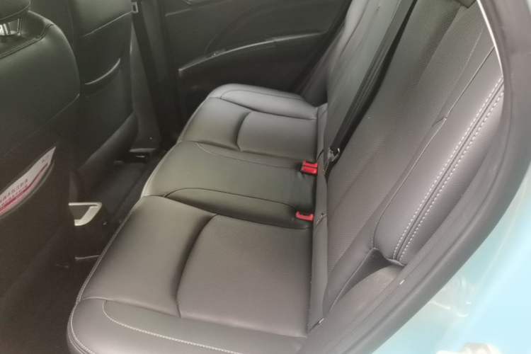 Used NETA V 2022 Long-Range Industry Custom Edition Left Rear Seat