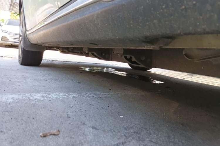 Used NETA V 2022 Chao 400 Lite Left Side Sill