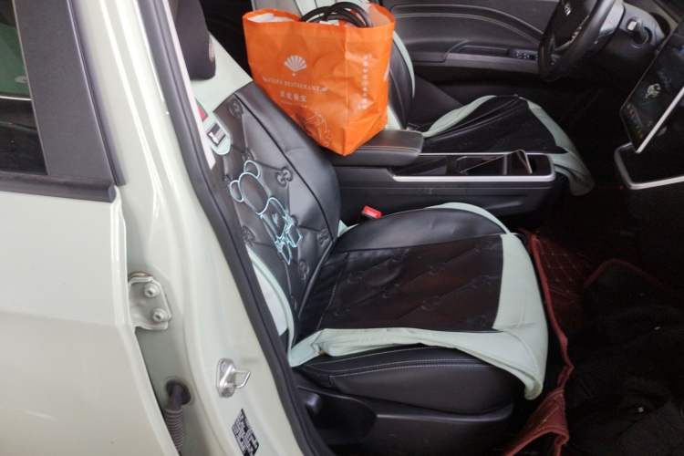 Used NETA V 2022 Chao 400 Lite Right Front Seat