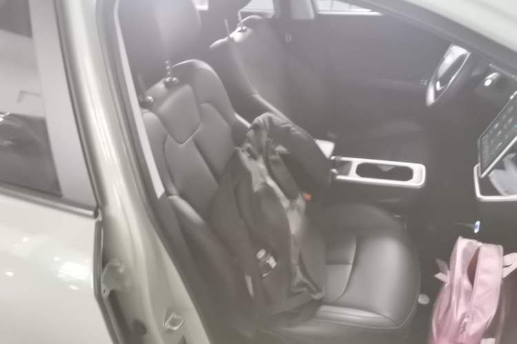 Used NETA V 2022 Chao 400 Lite Right Front Seat