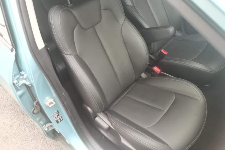Used NETA V 2022 Long-Range Industry Custom Edition Right Front Seat