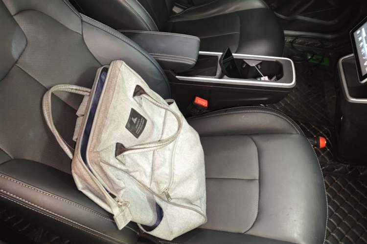 Used NETA V 2022 Chao 400 Lite Right Front Seat