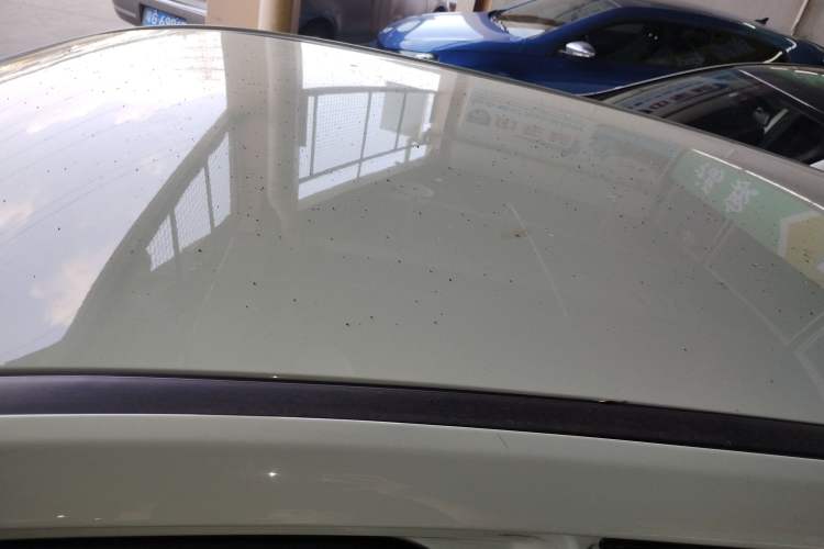 Used NETA V 2022 Chao 400 Lite Roof