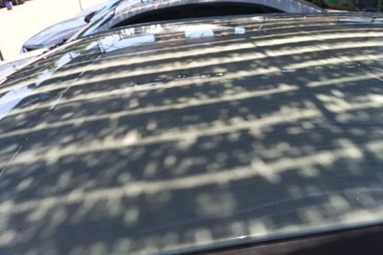 Used NETA V 2022 Chao 400 Lite Roof