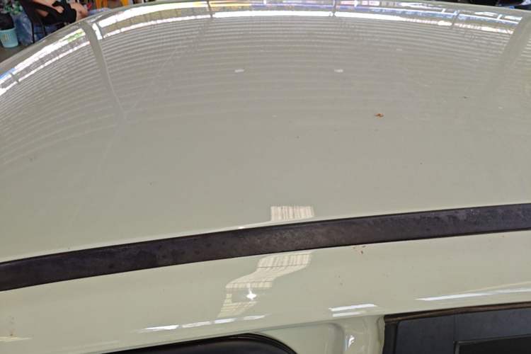 Used NETA V 2022 Chao 400 Lite Roof