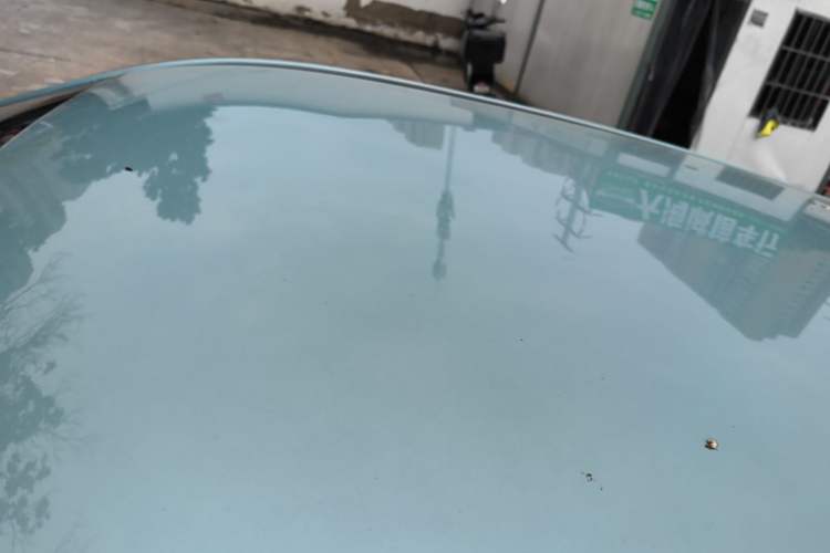 Used NETA V 2022 Chao 400 Lite Roof