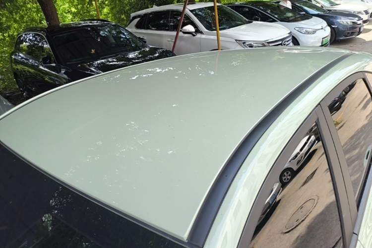 Used NETA V 2022 Chao 400 Lite Roof