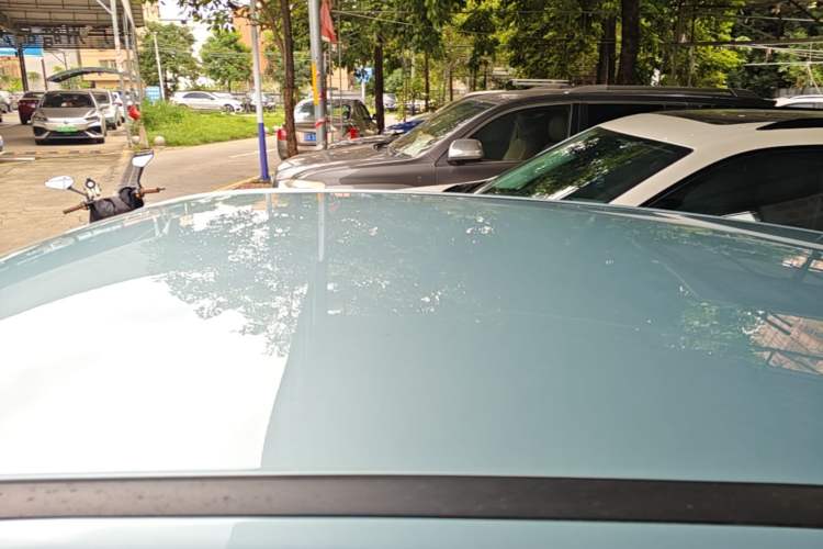 Used NETA V 2022 Standard Range Industry Custom Edition Roof