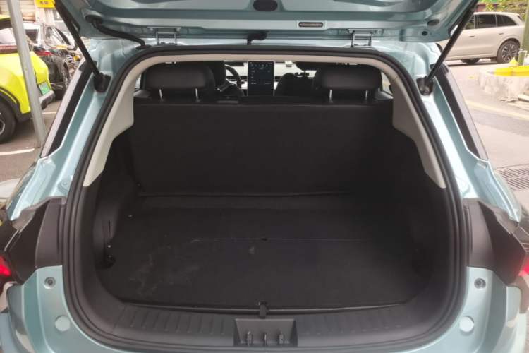 Used NETA V 2022 Long-Range Industry Custom Edition Trunk