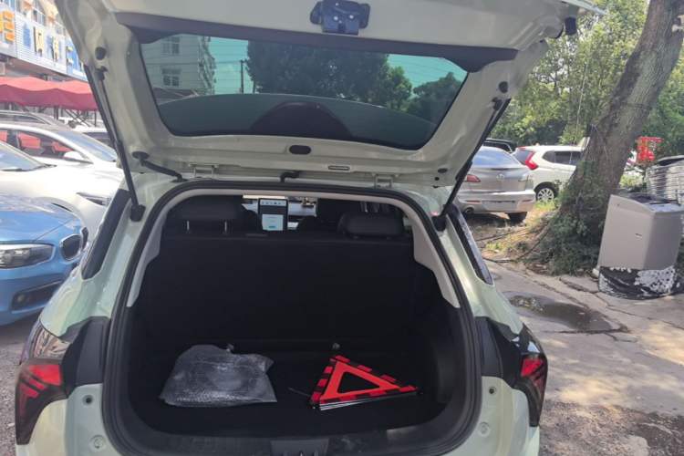 Used NETA V 2022 Long-Range Industry Custom Edition Trunk