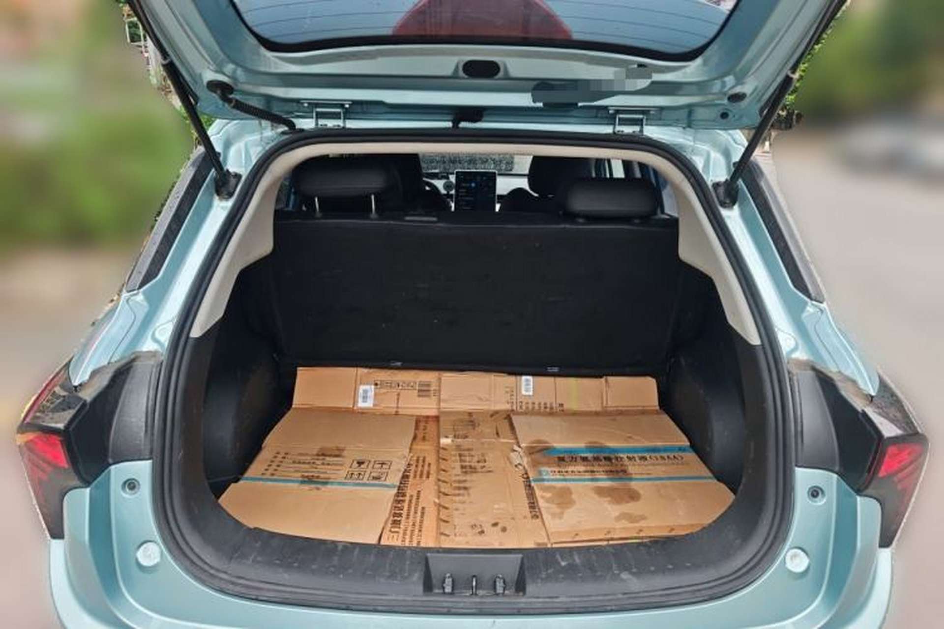 Used NETA V 2022 Pro Long-Range Smart Edition Trunk