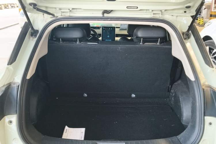 Used NETA V 2022 Long-Range Industry Custom Edition Trunk