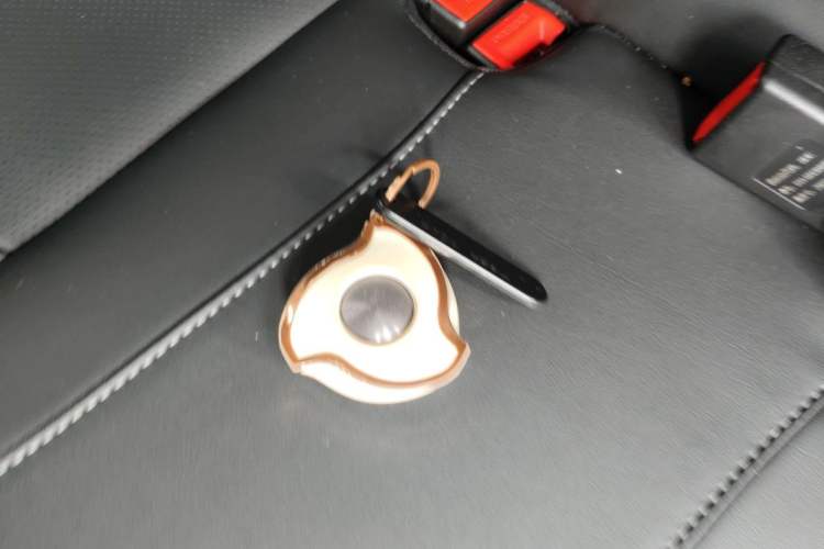 Used NETA V 2022 Chao 400 Lite Vehicle Key