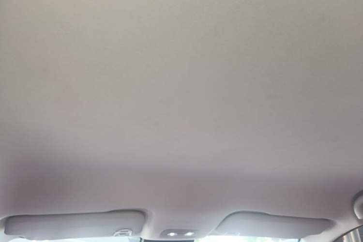 Used NETA V 2022 Chao 400 Lite Pink Custom Edition Headliner